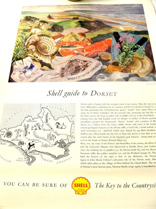 Dorset Shell educational poster John Nash