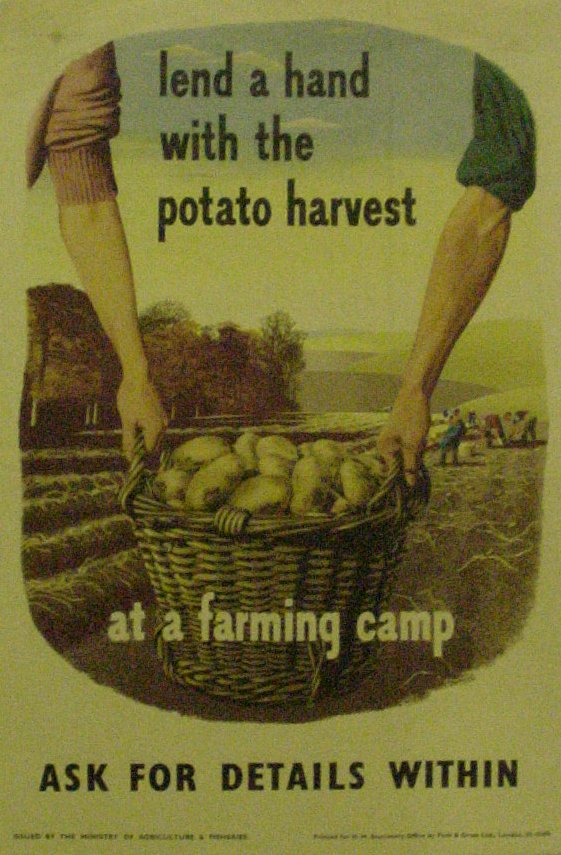vintage green potato harvest poster