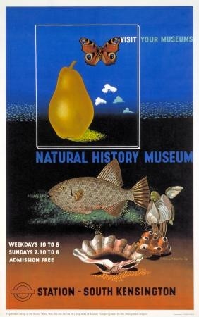 McKnight Kauffer Natural History Museum 1939/1974 London Transport poster