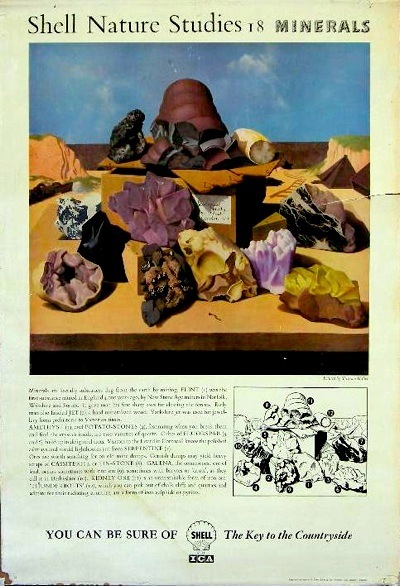 Tristram Hillier shell educational poster minerals onslows