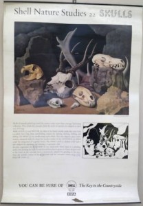 Hillier Skulls poster on eBay