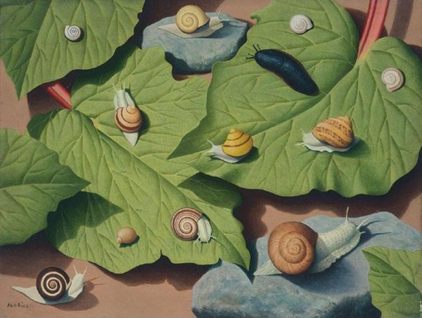 Tristram Hillier Shell Educational Poster snails december