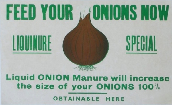 Onions poster onslows auction