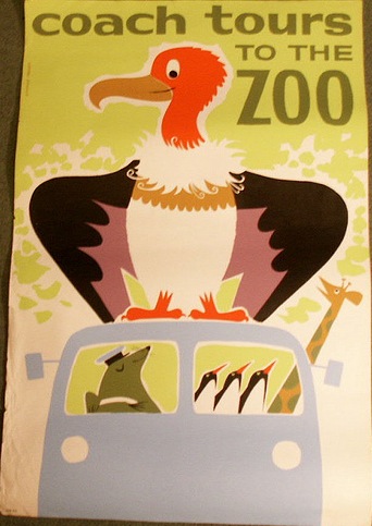 Daphne Padden Zoo coach trips vintage poster