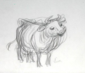 George Him sketch of bull 1975