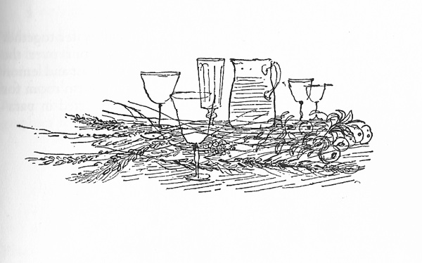 Herb wine illustration
