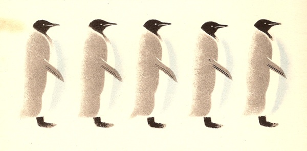Penguin line Tom Eckersley Animals on Parade 1947