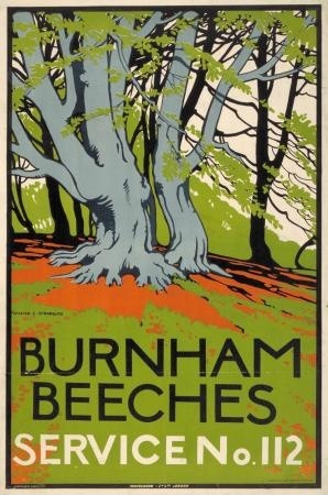 Burnham Beeches walter spradbury 1912