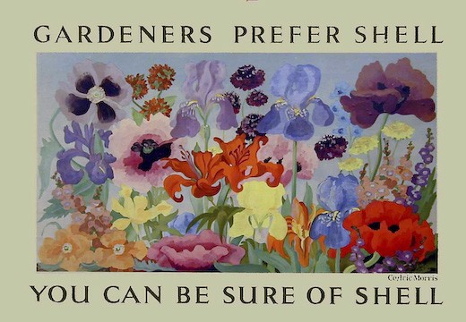 Cedric Morris Gardeners Prefer Shell vintage poster 1934
