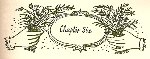John Minton Old Herbaceous Cartouche chapter 6