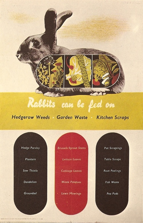 F H K Henrion vintage WW2 propaganda poster rabbits can be fed on
