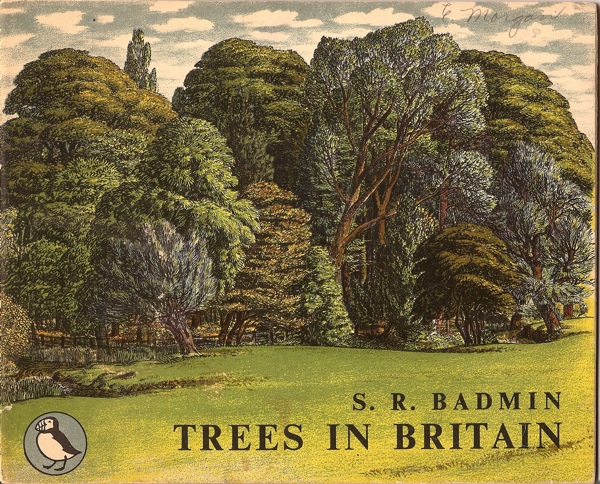 Puffin Picture Book SR Badmin Trees cover