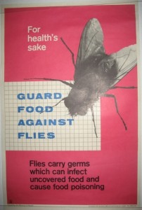 Guard food against flies vintage CoI Ministry of Health poster