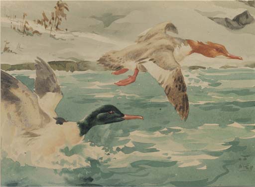 Richard Barrett Talbot Kelly geese painting