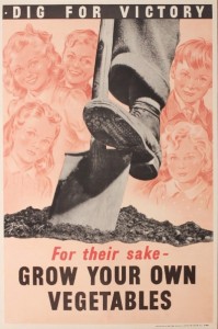 Anon Dig For Victory, For their sake - Grow your own vegetables, printed for HMSO by Weiner circa 1940