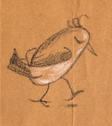 Daphne Padden sketch of bird