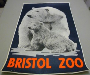 Bristol Zoo poster polar bears