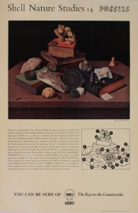 Tristram HIllier Shell guide to fossils educational poster