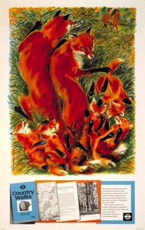 Peter Roberson Foxes poster  London Transport 1971