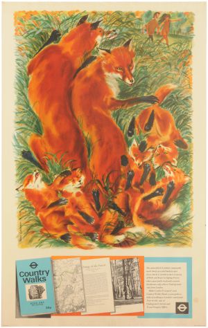 A London Transport double royal poster, COUNTRY WALKS, Foxes and cubs in Epping Forest, by Peter Roberson