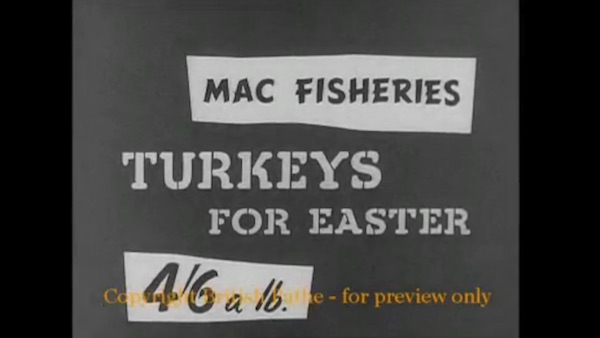 end of 1950s macfisheries ad