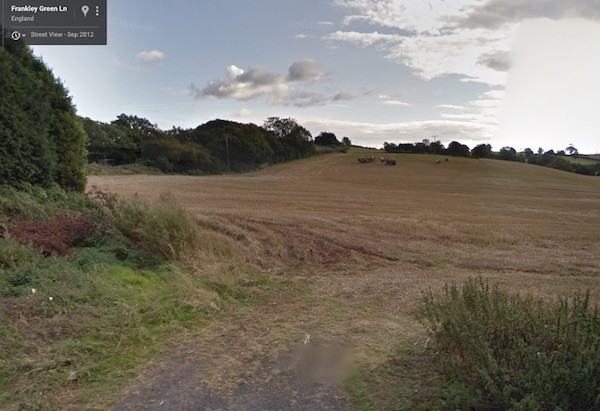 harvest from Google Street view